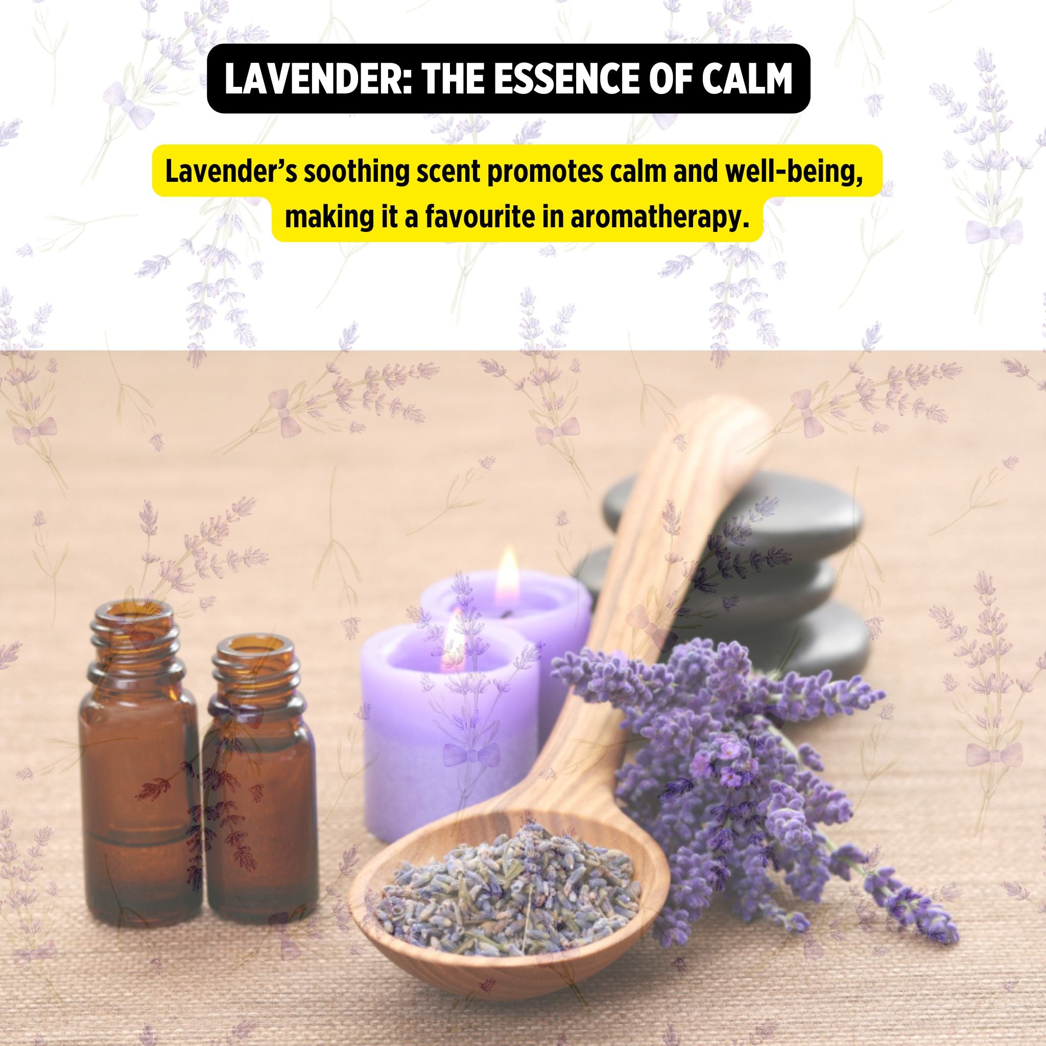 Handmade Ceramic Essential Oil Burner & Aromatherapy Censer